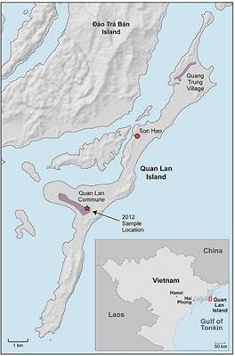 Late Holocene Anthropogenic and Climatic Impact on a Tropical Island Ecosystem of Northern Vietnam